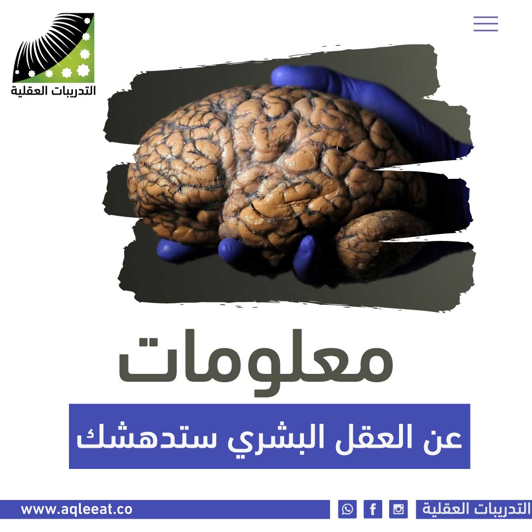 معلومات عن العقل البشري ستدهشك